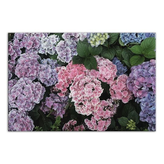 Colorful Hydrangeas 24" x 16" Canvas Wall Art